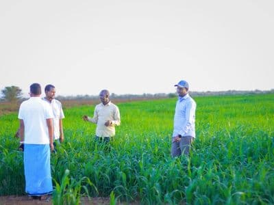 الإقليم الصومالي في إثيوبيا يوسّع مشاريع الريّ لتعزيز الاكتفاء الذاتي الغذائي