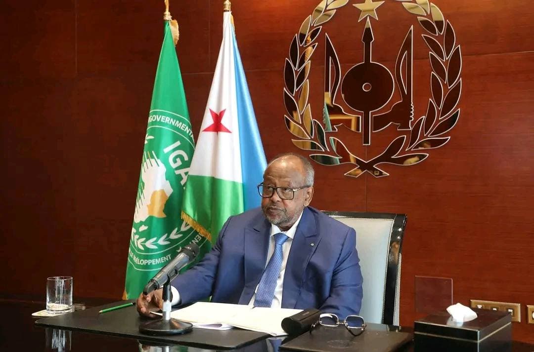 الرئيس الجيبوتي يدعو إلى إنشاء قوة دولية لتأمين الممرات البحرية