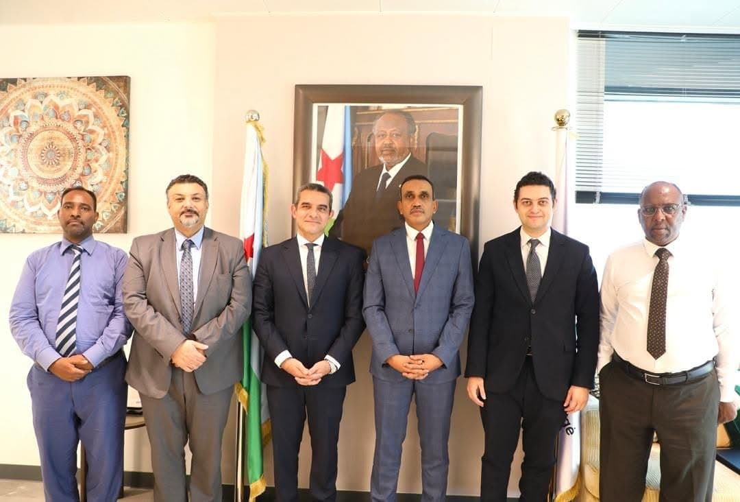 مباحثات مصرية–جيبوتية حول التعاون في الطاقة الشمسية وكهربة المناطق الريفية