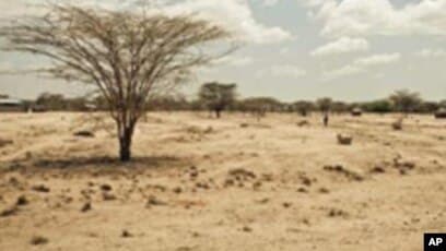 الجفاف يدفع نزوح 4800 شخص في الصومال خلال أسبوع - المنظمة الدولية للهجرة