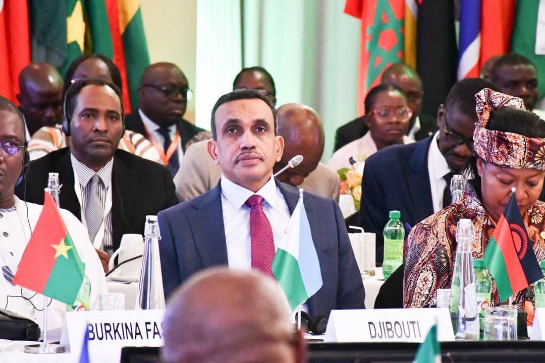 وزير الطاقة الجيبوتي: تحول الطاقة في إفريقيا يحتاج إلى المهارات وليس البنية التحتية فقط
