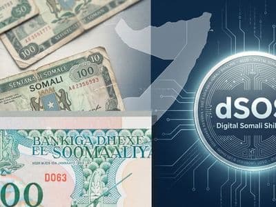 اقتصاد: بعد 30 عاماً بلا إصدار نقدي… هل يتجه الصومال إلى الشلن الرقمي؟