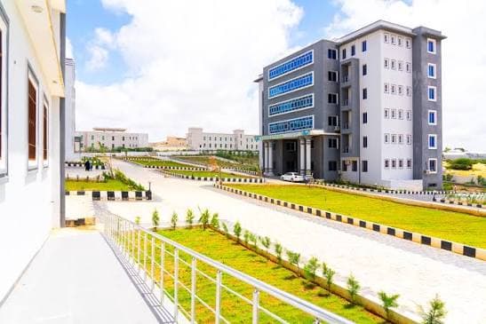 جامعة «هرمود» تختار الذكاء الاصطناعي محوراً لأسبوع التدريب الوطني 2026