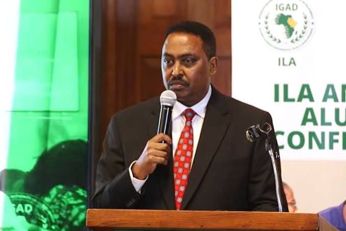 «إيغاد» تدعو إلى توحيد جهود السلام لإنهاء الحرب في السودان