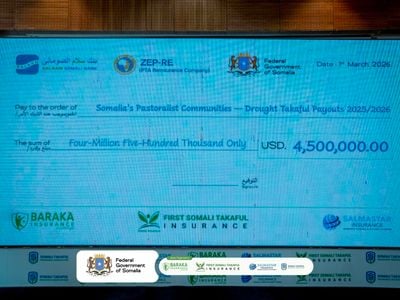 شركات التأمين الصومالية تطلق برنامجًا لدعم الرعاة المتضررين من الجفاف