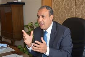وزير الخارجية المصري: نرفض أي وجود عسكري لدول غير مشاطئة في البحر الأحمر وخليج عدن