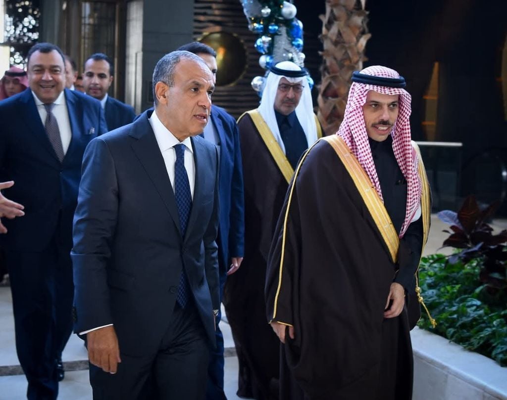 مصر والسعودية تجددان دعمهما لوحدة وسيادة الصومال في مباحثات ثنائية