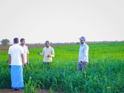 الإقليم الصومالي في إثيوبيا يوسّع مشاريع الريّ لتعزيز الاكتفاء الذاتي الغذائي