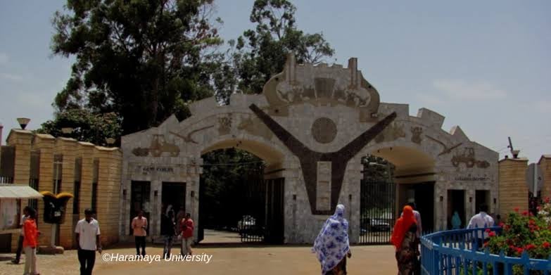 إثيوبيا تطلق أول جامعة للذكاء الاصطناعي العام المقبل