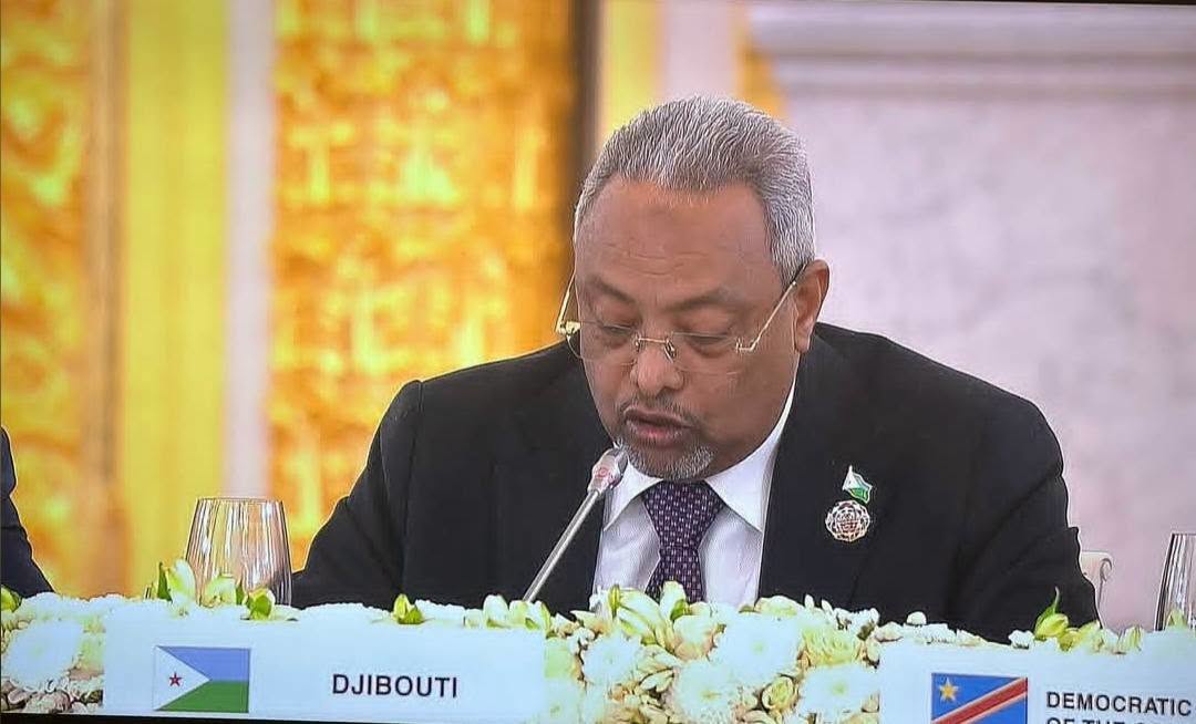 جيبوتي تدعو إلى شراكة دولية أكثر إنصافًا مع إفريقيا