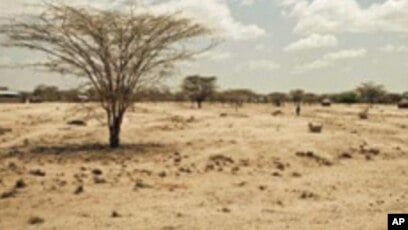 الجفاف يدفع نزوح 4800 شخص في الصومال خلال أسبوع - المنظمة الدولية للهجرة