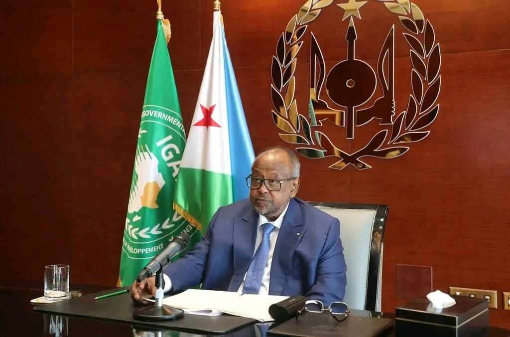 الرئيس الجيبوتي يدعو إلى إنشاء قوة دولية لتأمين الممرات البحرية