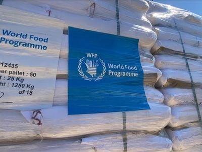 الصومال ينفي المساس بمساعدات «الغذاء العالمي» ويؤكد استمرار السيطرة الأممية