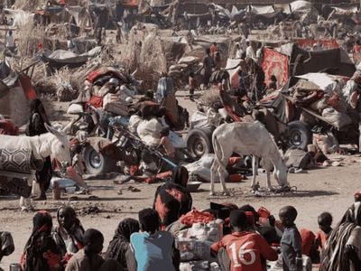 الأمم المتحدة: مقتل أكثر من ألف مدني «عمدًا» في مخيم زمزم بشمال دارفور