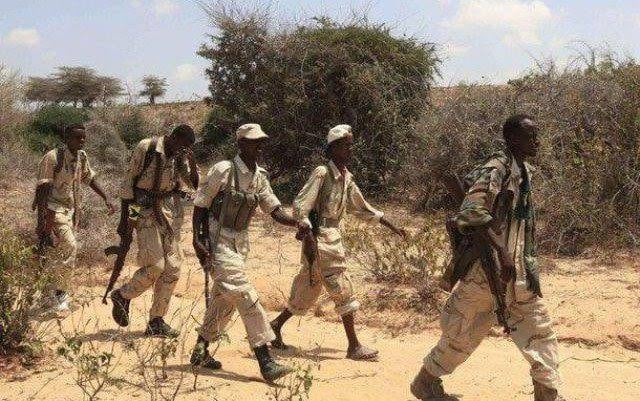 مقتل شخصين يشتبه في أنهما كانا يزرعان قنبلة في سوق للمواشي بمهداي