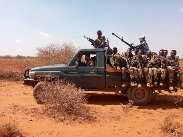 وزارة الدفاع الصومالية: مقتل قياديين في حركة الشباب في «شبيلي الوسطى»