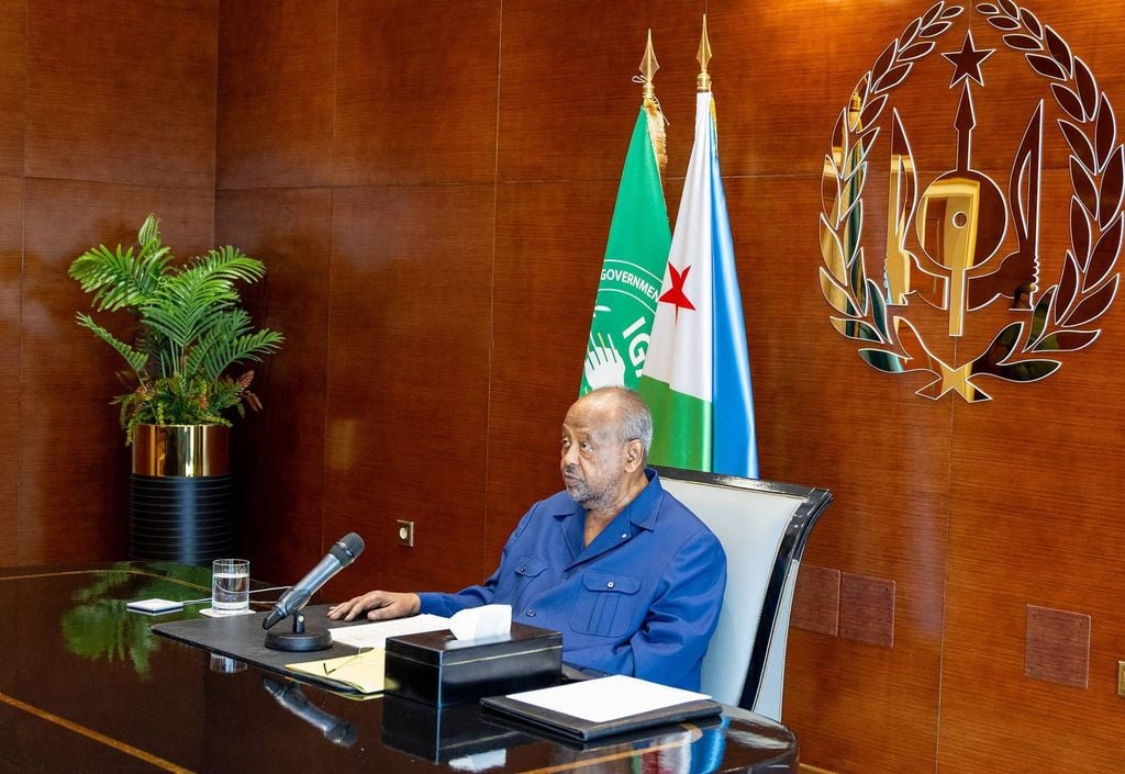 جيبوتي تدعو جنوب السودان لإجراء الانتخابات بحلول الموعد المقرر