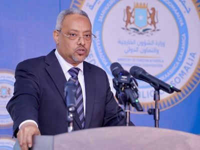 جيبوتي تدين هجمات إيران على دول عربية وتدعو إلى خفض فوري للتصعيد